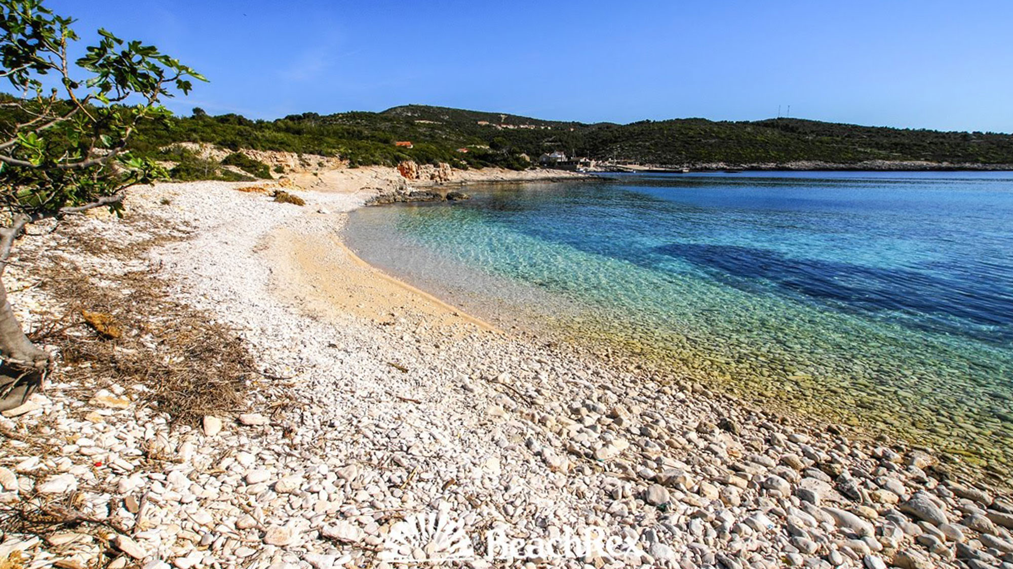 Strand beach. Хорватия пляж Куви. Висла пляж. Хорватия пляж вели жал. Хорватия пляжный бар.